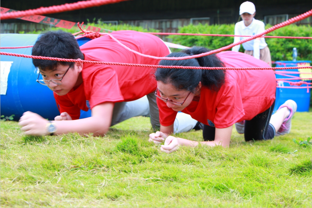 深圳瑞得福学校 RDFIS