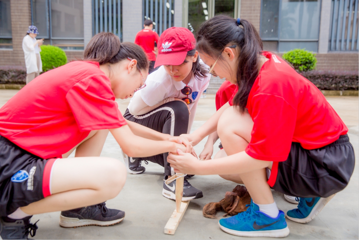 深圳瑞得福学校 RDFIS