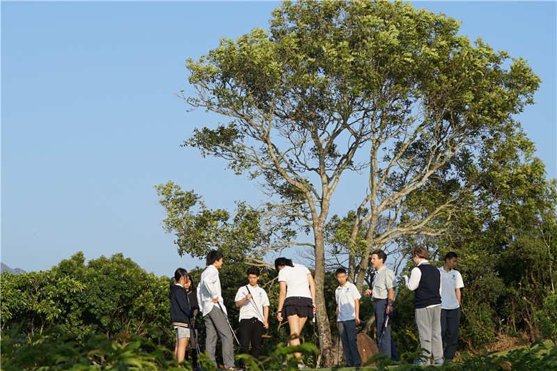 深圳瑞得福学校 RDFIS